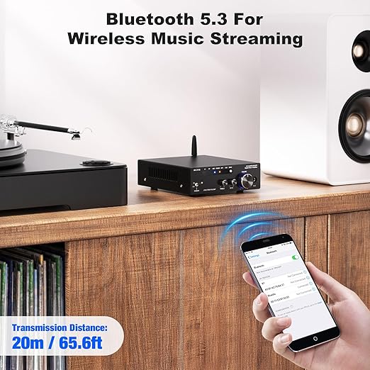 Facmogu AK-3116 HiFi Digital Amplifier, Mini Amp Audio System